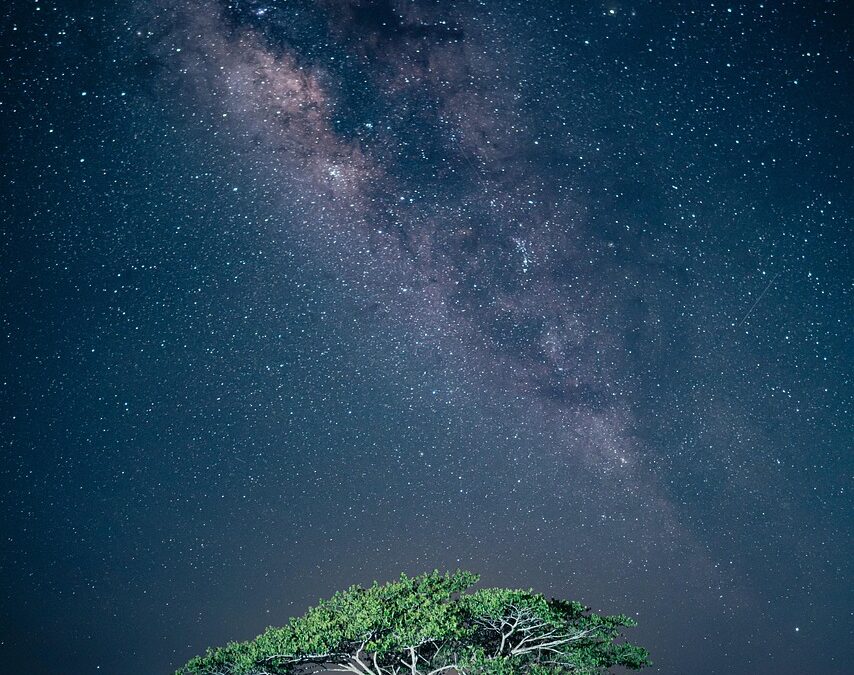 Sending Cremated Remains to Space: Honoring a Loved One’s Final Frontier